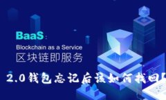 Tokenim 2.0钱包忘记后该如何找回？详细指南