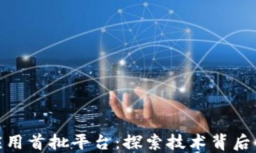 
揭秘区块链应用首批平台：探索技术背后的创新与机遇