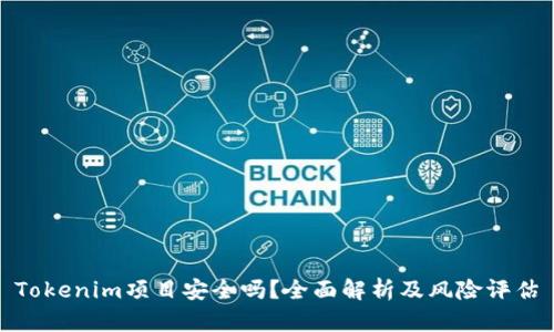 Tokenim项目安全吗？全面解析及风险评估