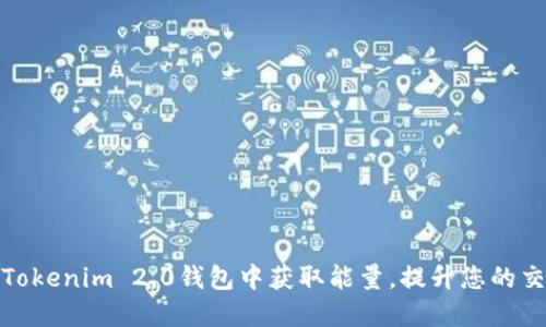 如何在Tokenim 2.0钱包中获取能量，提升您的交易体验