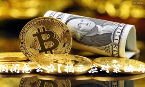 Tokenim倒闭怎么办？揭示应对策略与解决方案