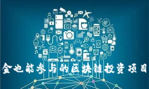 小资金也能参与的区块链投资项目推荐