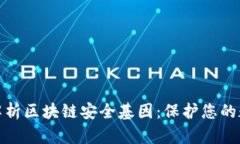 : 深度解析区块链安全基因：保护您的数字资产