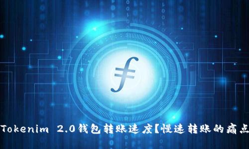 如何提升Tokenim 2.0钱包转账速度？慢速转账的痛点解决方案