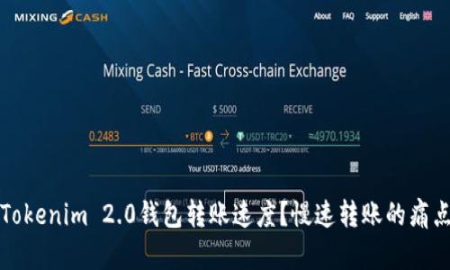 如何提升Tokenim 2.0钱包转账速度？慢速转账的痛点解决方案