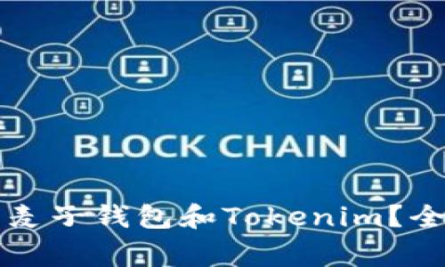 国内如何安全下载麦子钱包和Tokenim？全面解析与注意事项