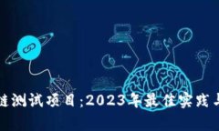 探索区块链测试项目：2023年最佳实践与案例分析