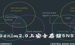如何在Tokenim2.0上安全存储BNB：新手指南