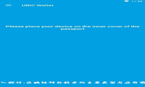 深入探讨：区块链对称技术的主要类型与应用前景