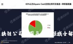 区块链公司范围与应用领域全解析