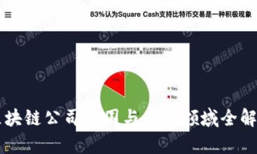 区块链公司范围与应用领域全解析