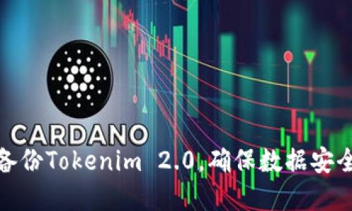 如何高效备份Tokenim 2.0，确保数据安全和稳定性