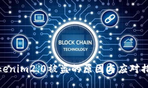 Tokenim2.0被盗的原因与应对措施