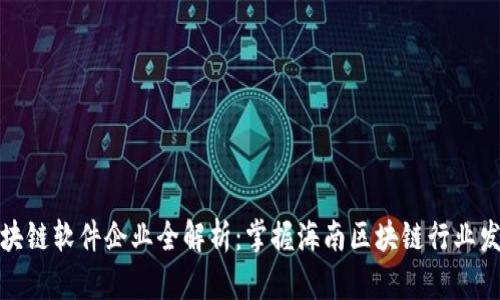 海口区块链软件企业全解析：掌握海南区块链行业发展脉动