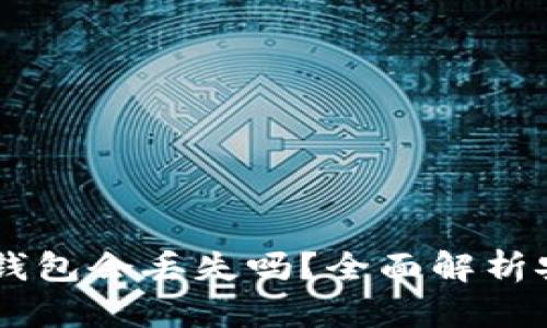 Tokenim2.0钱包会丢失吗？全面解析安全性与风险