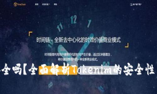 Tokenim安全吗？全面解析Tokenim的安全性与风险防范