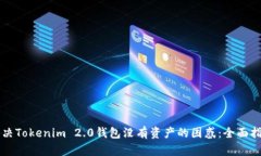 解决Tokenim 2.0钱包没有资产的困惑：全面指南
