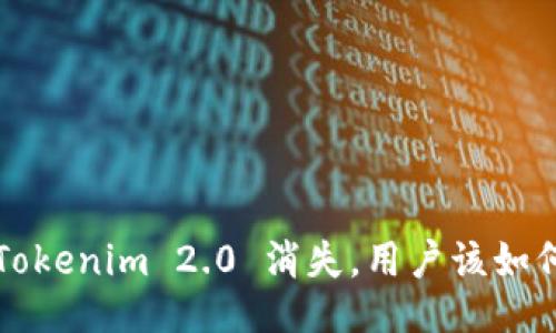 如果 Tokenim 2.0 消失，用户该如何应对？