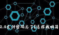 Tokenim2.0支付密码忘了？这样找回简单又安全