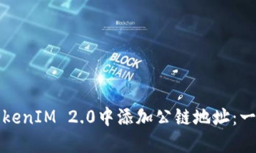 如何在TokenIM 2.0中添加公链地址：一步步指南