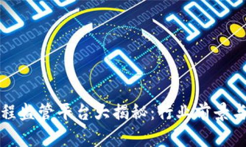 区块链工程监管平台大揭秘：行业前景与应用实例