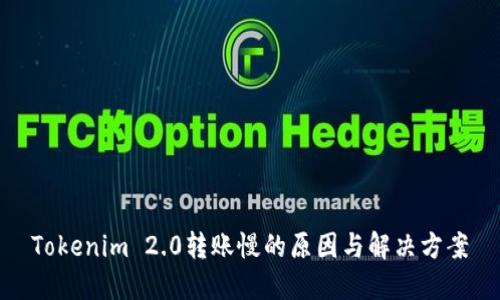 Tokenim 2.0转账慢的原因与解决方案