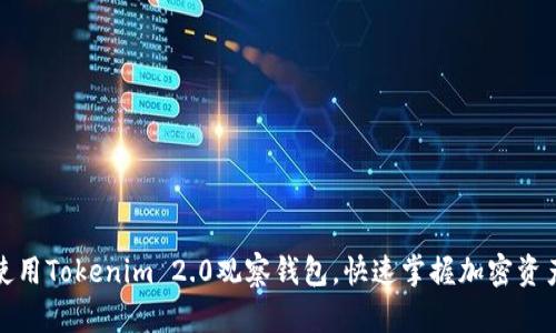 如何使用Tokenim 2.0观察钱包，快速掌握加密资产动态