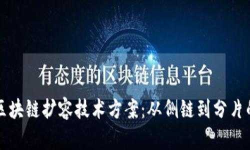 深入探讨区块链扩容技术方案：从侧链到分片的全面解析
