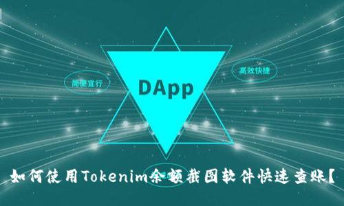 如何使用Tokenim余额截图软件快速查账？
