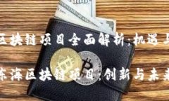 陆丰东海区块链项目全面解析：机遇与挑战并存