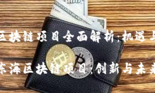 陆丰东海区块链项目全面解析：机遇与挑战并存

探索陆丰东海区块链项目：创新与未来的交融