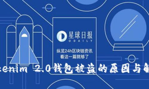 避免Tokenim 2.0钱包被盗的原因与解决方案
