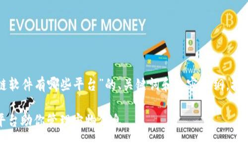 下面是一个围绕“宠物区块链软件有哪些平台”的、关键词和内容大纲。接下来再进行详细内容的撰写。

宠物区块链软件推荐：十大平台助你管理宠物信息