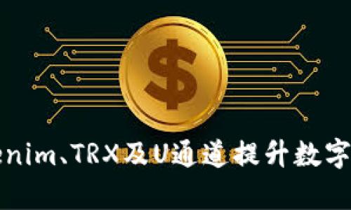 如何利用tokenim、TRX及U通道提升数字资产交易效率