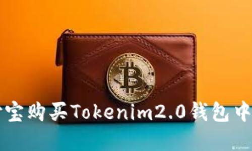 如何用支付宝购买Tokenim2.0钱包中的数字货币