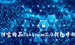 如何用支付宝购买Tokenim2.0钱包中的数字货币