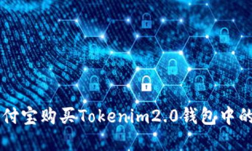 如何用支付宝购买Tokenim2.0钱包中的数字货币