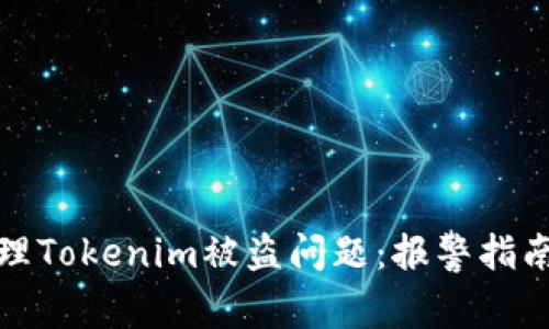 如何有效处理Tokenim被盗问题：报警指南与应对策略