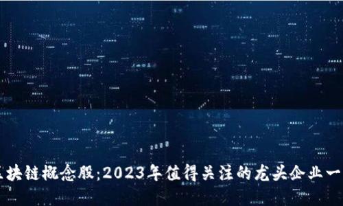 区块链概念股：2023年值得关注的龙头企业一览