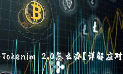 误把比特币充入Tokenim 2.0怎么办？详解应对措施与防范技巧