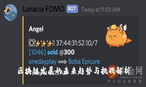 区块链发展的未来趋势与挑战解析