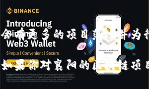 区块链技术在各个行业的应用越来越广泛，特别是在金融、物流、医疗、供应链等领域。襄阳作为一个重要的城市，也积极探索和推动区块链项目的落地。以下是一些在襄阳可能存在的区块链项目和应用领域：

### 1. 金融科技
许多金融机构在襄阳开始探索区块链技术，以期提升交易效率、安全性和透明度。这些项目通常涉及：

- 加密货币交易所
- 区块链支付系统
- 跨境支付解决方案

### 2. 供应链管理
在供应链管理领域，区块链可以提供完善的追踪和透明度，襄阳的制造企业可能采取这些技术来：

- 追踪货物来源
- 确保产品质量
- 物流过程

### 3. 医疗健康
在医疗健康领域，区块链可以帮助实现患者数据的安全管理和共享，襄阳的医院或医疗机构可能会涉及：

- 电子健康记录管理
- 药品追踪系统
- 医疗支付平台

### 4. 政务与公共服务
区块链技术也被应用于政务透明和公共服务中，襄阳可能会推行：

- 电子身份认证
- 不动产登记
- 社会保障信息平台

### 5. 教育与人才认证
区块链还可以用于教育领域的学历和证书验证，襄阳的高校和职业培训机构可能会：

- 使用区块链保存和验证学位证书
- 提供在线课程的学分认证

### 小结
襄阳在区块链项目的探索和应用上具有巨大的潜力，随着技术的发展和政策的支持，未来会有更多的项目落地并为行业带来变革。

以上只是一个大致的概述，具体项目的情况可能会依据市场需求和政策环境而有所变化。如果你对襄阳的区块链项目有具体的需求或想了解更多细节，建议关注当地的行业动态和相关机构的发布信息。