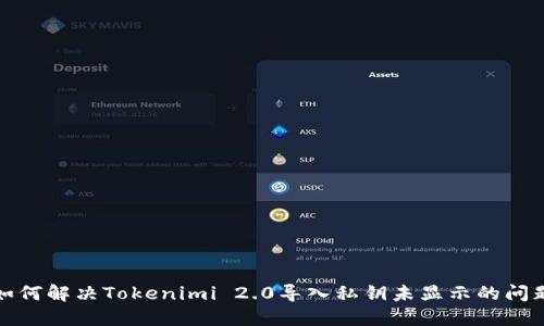 如何解决Tokenimi 2.0导入私钥未显示的问题