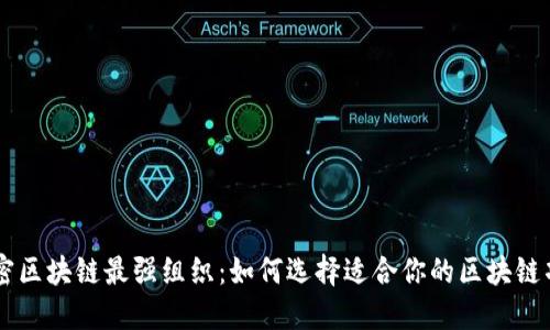 解密区块链最强组织：如何选择适合你的区块链项目