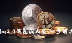 bianoti轻松下载Tokenim2.0钱包国内版：一步解决你的