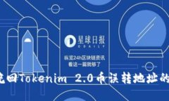 如何挽回Tokenim 2.0币误转地址的损失？