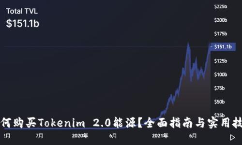如何购买Tokenim 2.0能源？全面指南与实用技巧