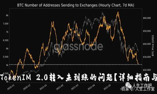 如何解决TokenIM 2.0转入未到账的问题？详细指南与解决方案