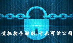 区块链备案机构全解析：十大可信公司及其服务