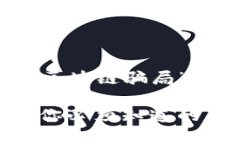 以下是针对“关联区块链骗局”的内容框架和示